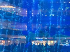 -成都浩海立方海洋公园