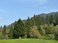 -新疆那拉提国家旅游度假区