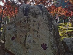 -广州市帽峰山景区