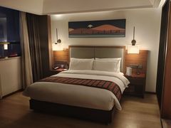 -日喀则乔穆朗宗酒店