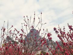 -南溪山景区