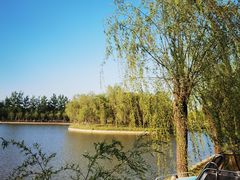 -杨柳青庄园