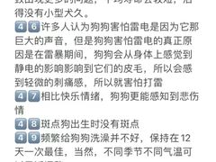 -宠爱国际动物医院· 猫科· 外科·中兽医(长白店)