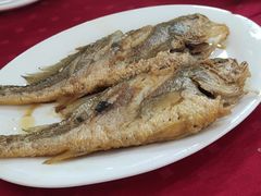 香煎黄花鱼-蛇口康乐快餐鱼仔档(翠苑小区店)