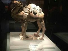 -西安大唐西市博物馆