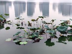 景点-尚贤河湿地