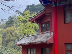 -黔灵山公园