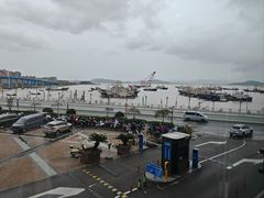 -高佳庄·舟山海鲜(海景旗舰店)