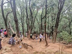 -灵岩山风景区