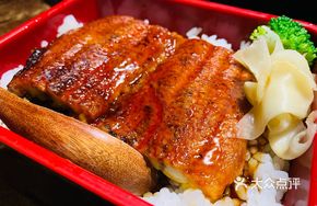 Unagi Donburi