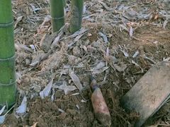 -杭州屏风山越野车营地·团建别墅轰趴民宿