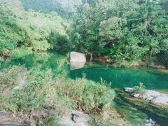 -海南热带雨林国家公园吊罗山景区