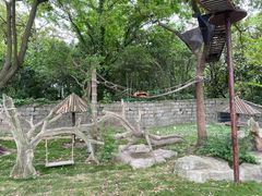 -上海野生动物园