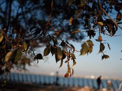 -南沙十九涌渔人码头-南门