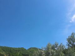 -青藏高原野生动物园