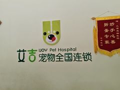 -艾吉宠物医院·疑难杂症转诊中心·猫友好(碧江路院)