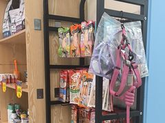 -全心全意连锁动物医院·微创中心·内科急重症·心脏专科(丰管路店)