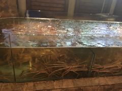 -蟹之国·精品蟹料理(极地店)