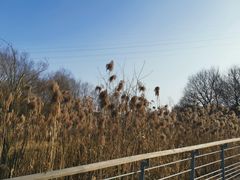 -西湖风景区-江洋畈生态公园