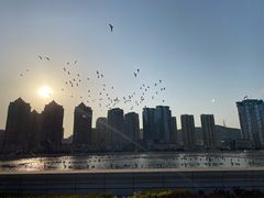 -活鱼馆(宜兴埠店)