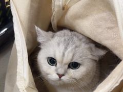 -佳雯宠物医院·皮肤科·内外科(春晓路分院)