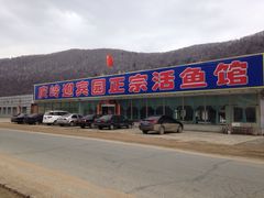 庆岭迎宾园正宗活鱼馆-庆岭迎宾园正宗活鱼馆