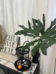 -UN·桃喜日系美睫美甲