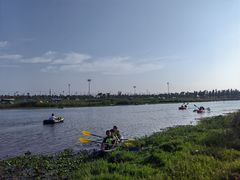 -春花秋色城市公园