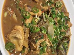 -全乐鱼馆·淳牌有机鱼直营店