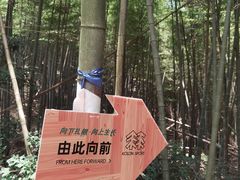 -会稽山峡洞漂流-上青古道