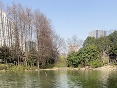 -新虹桥中心花园