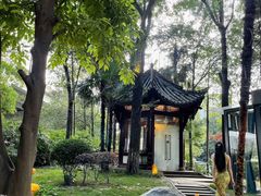 -大妙火锅·非物质文化遗产(东湖公园店)