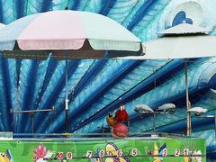 -灵玲国际马戏城