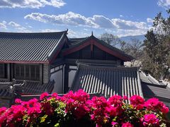 -有一锅·野生菌黑山羊腊排骨火锅(古城北门店)