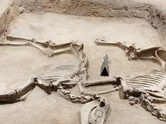 -洛阳周王城天子驾六博物馆