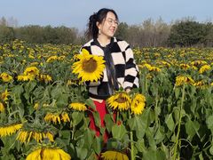 -汉长安城未央宫国家考古遗址公园