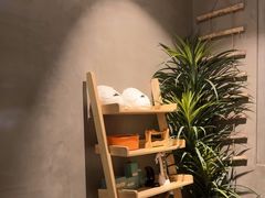 -施奈儿.洗头頭療.按摩SPA.采耳(上梅林店)