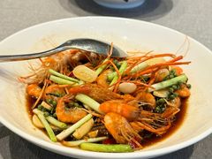 -合肥滨湖国家森林公园