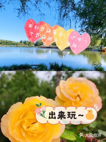 来到奇葩乐园，还你一个奇葩的六一体验！