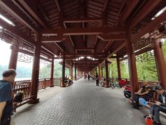 -重庆彩云湖湿地公园