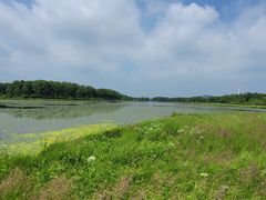 -塞罕坝国家级自然保护区