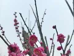 -南湖湿地公园