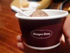 巧克力哈根达斯-古京·臻致料理(月湖店)