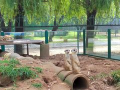 -秦皇岛野生动物园