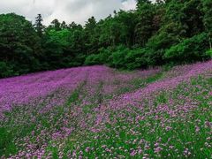 -白沙门生态公园