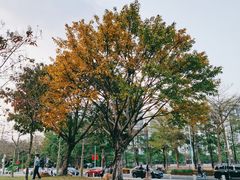 -二沙岛艺术公园