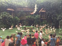 -新加坡飞禽公园