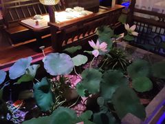 -韵秋荷(宝山龙湖天街店)