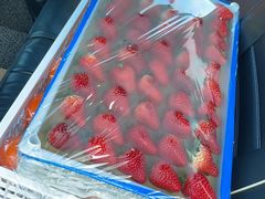 -78线水果批发市场精品厅五号