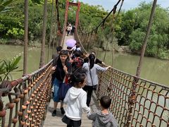 -吴淞炮台湾湿地森林公园烧烤区